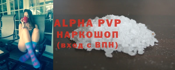 прущие грибы Бронницы