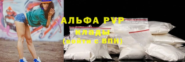 прущие грибы Бронницы