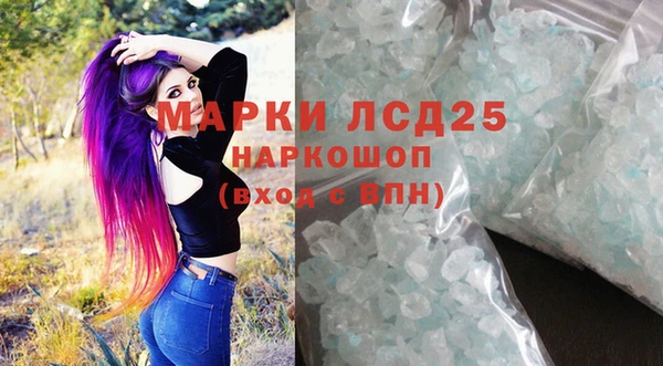 прущие грибы Бронницы