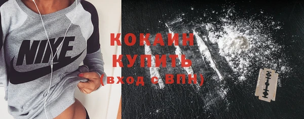 прущие грибы Бугульма