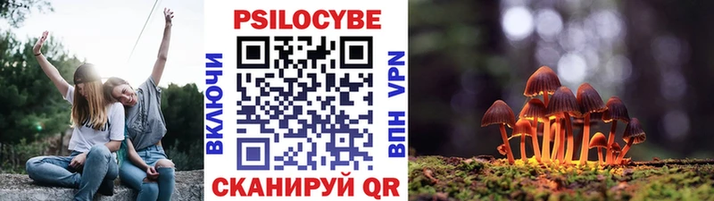 купить наркоту  Моздок  Псилоцибиновые грибы мухоморы 